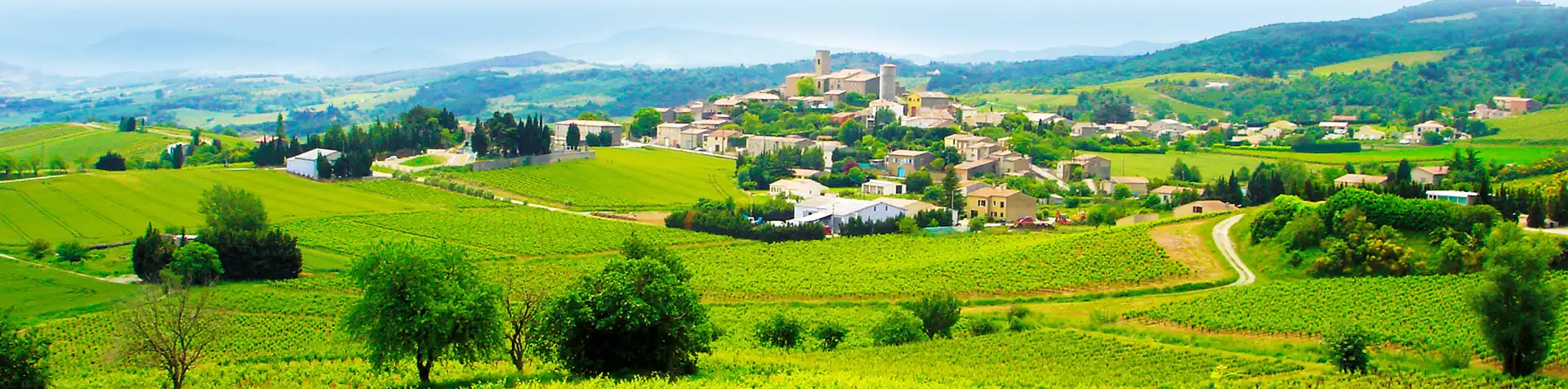 Le Vignoble du Domaine Capdepon - Villelongue, Aude